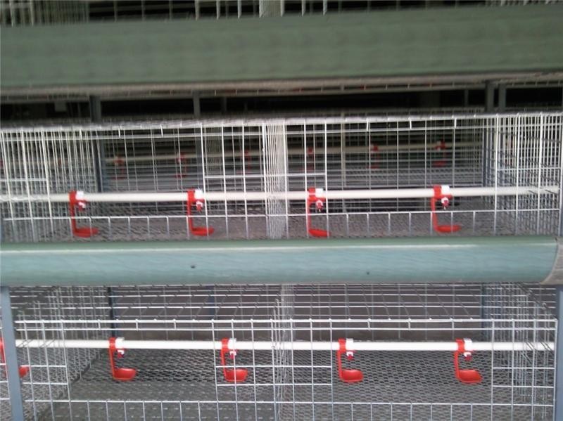 농장 및 농업 장비, 저렴한 새장 판매, 소형 닭장 디 - Agriculture.Farming Design 리뷰 및 가격