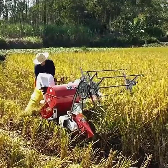 자동 13마력 신형 밀 쌀 수확기 쿠보타 줌리온 Yto - Combine Harvester Mini 리뷰 및 가격