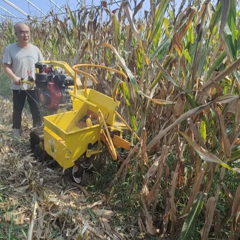 저렴한 소형 농장용 옥수수 수확기 판매 - 단옥수수 및 - Combine Harvester Mini 리뷰 및 가격