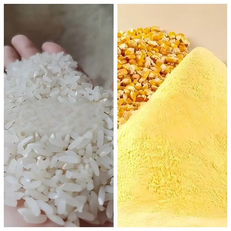 비루이 쌀 도정기 완전 세트 OEM 장착 농업용 모터  - Agriculture Farming Rice 리뷰 및 가격