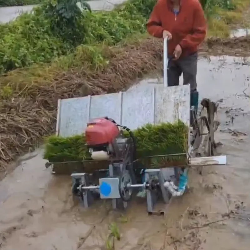 4열 수동식 농업 장비 작동식 논 모내기 기계/플랜터/ - Agriculture Farming Rice 리뷰 및 가격